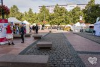 DSC_4260-35.jpg